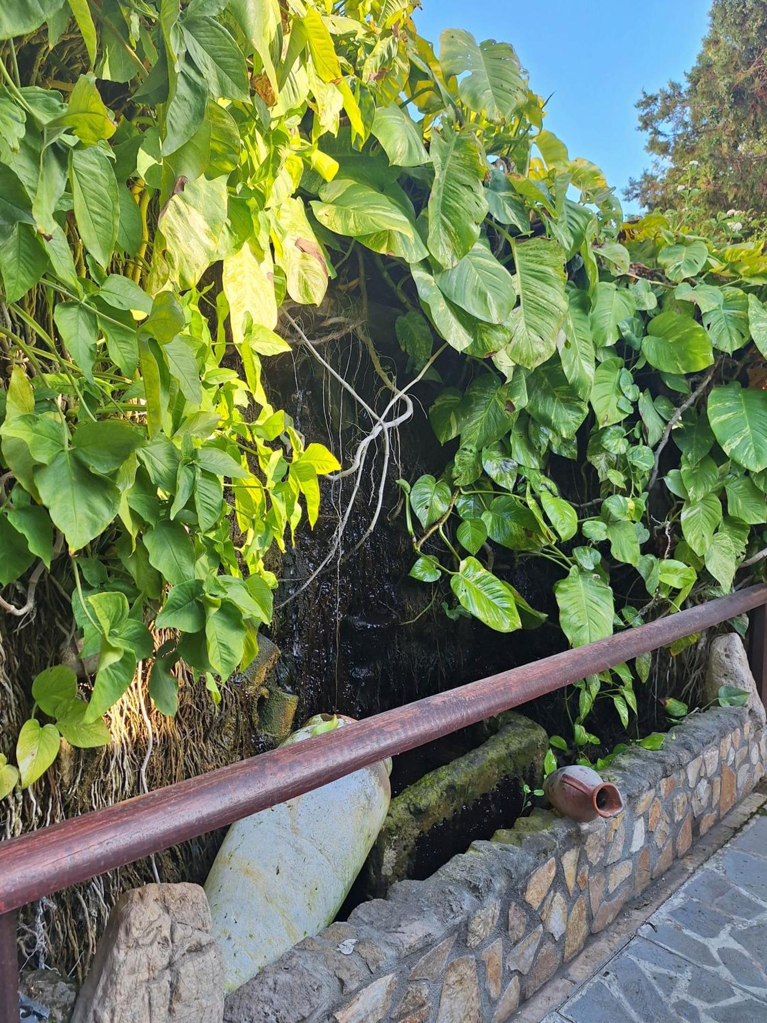 מלון דירות Apollonia Paphos